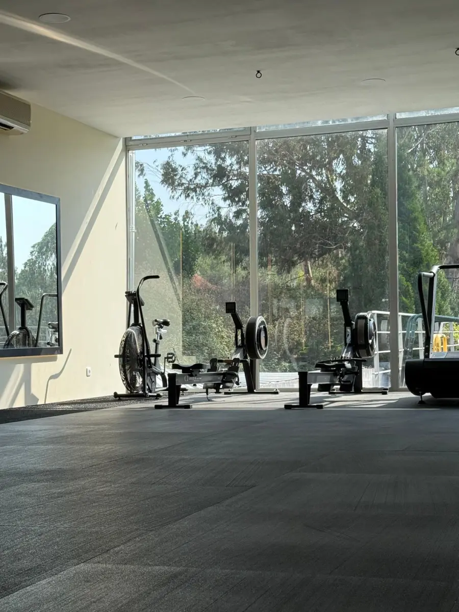 A Sala de treino funcional, com air bike, dois remos e uma passadeira curva junto à parede de vidro virada para as árvores.